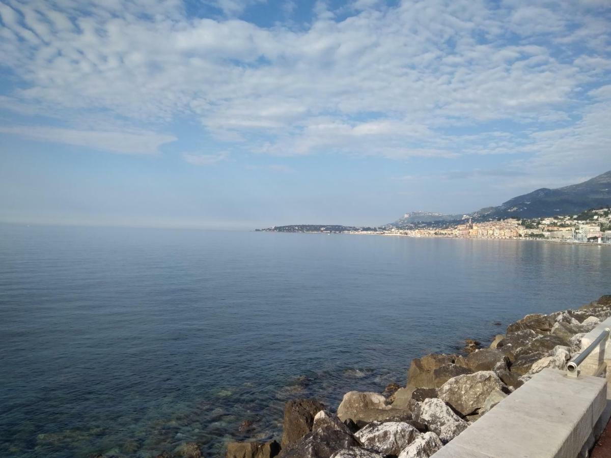 La Fregate Apartment Roquebrune-Cap-Martin Bagian luar foto